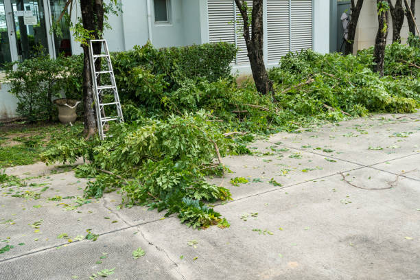 Best Emergency Tree Removal  in Briar Chapel, NC